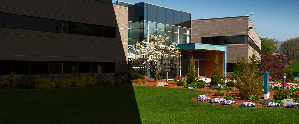 Indian Rocks Beach Landscapers