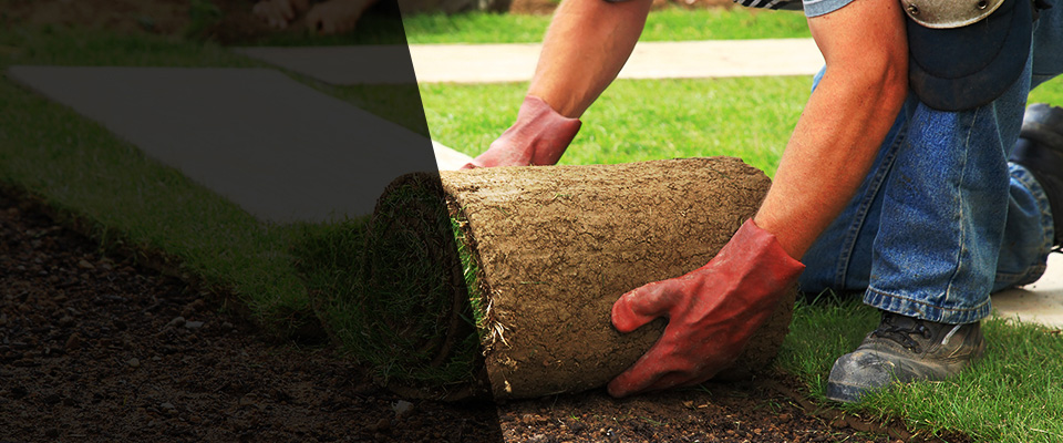 Indian Rocks Beach Landscapers